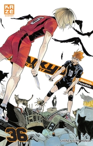 Picture of Haikyu T36