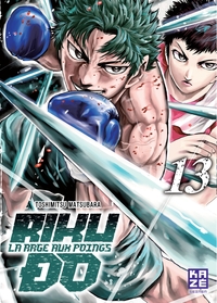 Picture of Riku-do T13