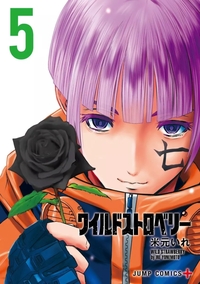Picture of WILD STRAWBERRY T05