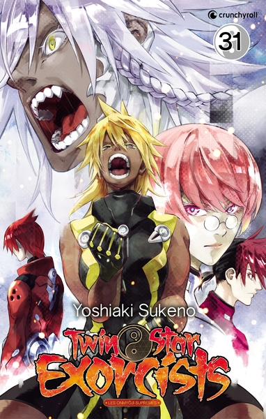 Picture of TWIN STAR EXORCISTS T31
