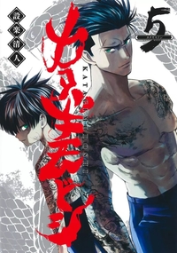 Picture of KATAGI MODOSHI T05