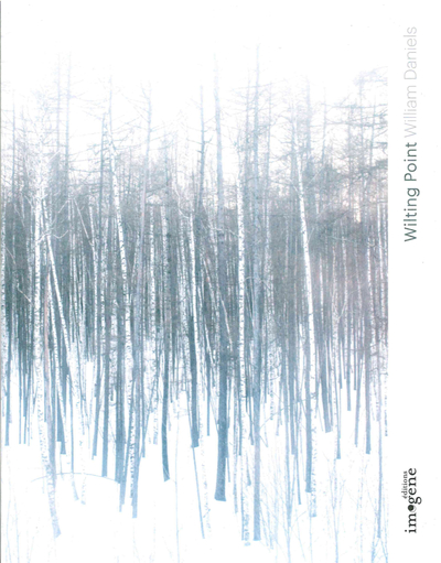 Picture of Wilting Point