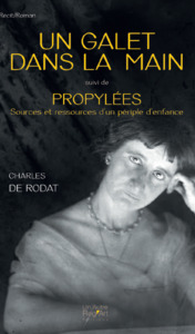 Picture of Un galet dans la main