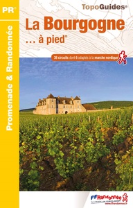 Image de La Bourgogne à pied