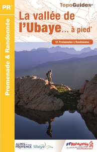 Image de VALLEE UBAYE A PIED NED 2016 - 04 - PR - P043