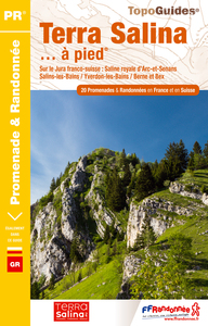 Picture of TERRA SALINA A PIED - 25-39-SUI - PR - RE21