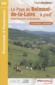 Picture of BELMONT DE LA LOIRE A PIED 2008 - 42 - PR - P423