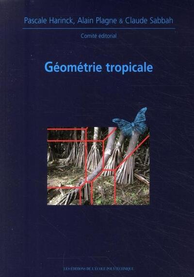 Image de Géométrie tropicale