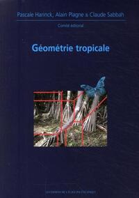Image de Géométrie tropicale