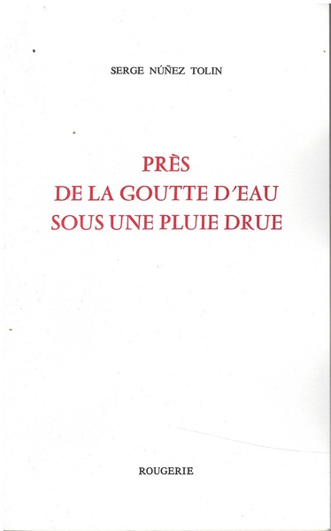 Picture of PRES DE LA GOUTTE D'EAU SOUS UNE PLUIE DRUE