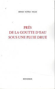 Picture of PRES DE LA GOUTTE D'EAU SOUS UNE PLUIE DRUE