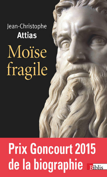 Picture of Moïse fragile