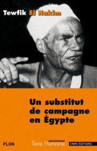 Picture of Un substitut de campagne en Egypte