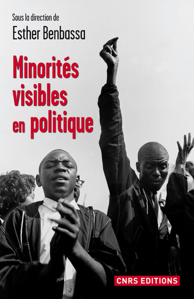 Picture of Minorités visibles en politique