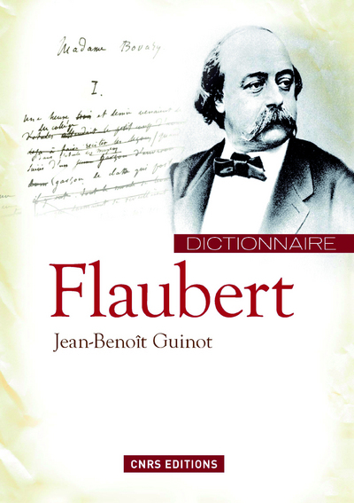Image de Dictionnaire Flaubert