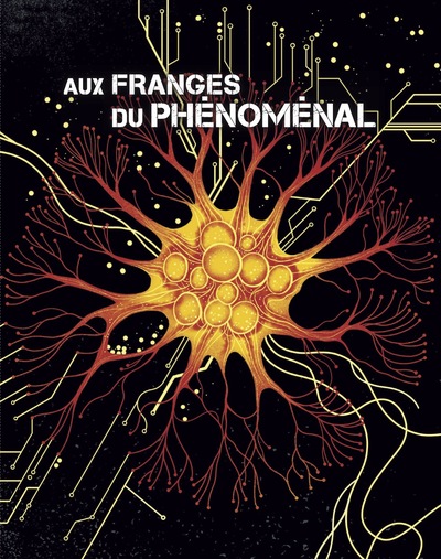 Image de Terrain 80 Aux franges du phénoménal