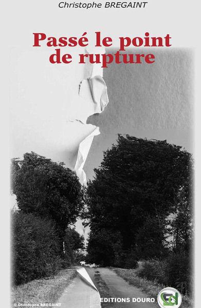 Picture of Passé le point  de rupture