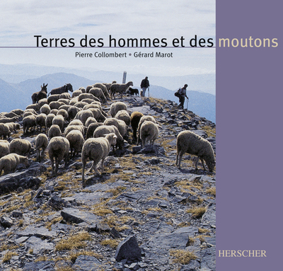Picture of Terres des hommes et des moutons