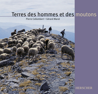 Image de Terres des hommes et des moutons