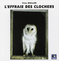 Image de L'Effraie des clochers