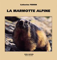 Picture of LA MARMOTTE ALPINE