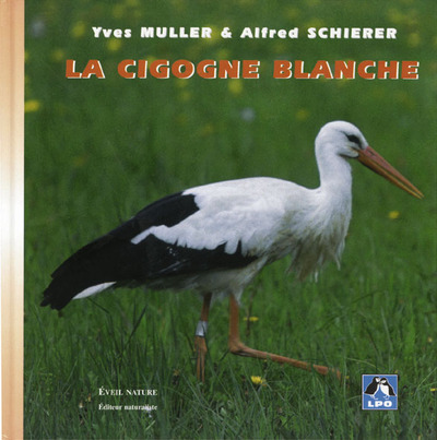 Picture of La Cigogne blanche