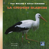 Picture of La Cigogne blanche