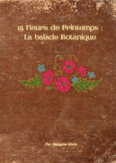 Picture of 15 Fleurs de Printemps