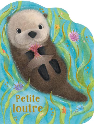 Picture of Petite loutre
