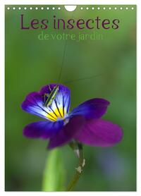 Image de Les insectes de votre jardin (Calendrier mural 2025 DIN A4 horizontal), CALVENDO calendrier mensuel