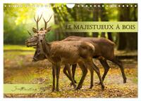 Image de Le Majestueux à Bois (Calendrier mural 2025 DIN A4 vertical), CALVENDO calendrier mensuel