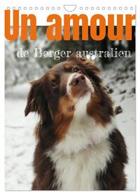 Image de Un amour de berger australien (Calendrier mural 2025 DIN A4 horizontal), CALVENDO calendrier mensuel
