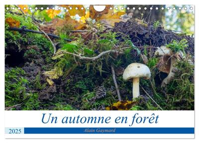 Picture of Un automne en forêt (Calendrier mural 2025 DIN A4 vertical), CALVENDO calendrier mensuel