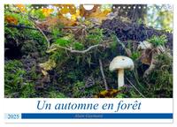 Picture of Un automne en forêt (Calendrier mural 2025 DIN A4 vertical), CALVENDO calendrier mensuel