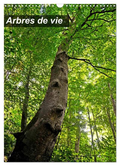 Image de Arbres de vie (Calendrier mural 2025 DIN A3 horizontal), CALVENDO calendrier mensuel