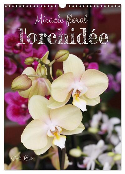 Image de Miracle floral l'orchidée (Calendrier mural 2025 DIN A3 horizontal), CALVENDO calendrier mensuel