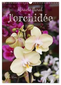 Image de Miracle floral l'orchidée (Calendrier mural 2025 DIN A3 horizontal), CALVENDO calendrier mensuel