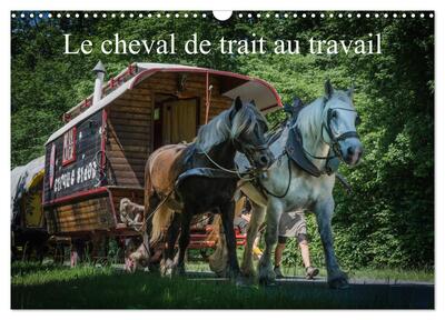 Picture of Le cheval de trait au travail (Calendrier mural 2025 DIN A3 vertical), CALVENDO calendrier mensuel
