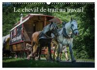 Picture of Le cheval de trait au travail (Calendrier mural 2025 DIN A3 vertical), CALVENDO calendrier mensuel