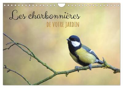 Picture of Les charbonnières de votre jardin (Calendrier mural 2025 DIN A4 vertical), CALVENDO calendrier mensuel