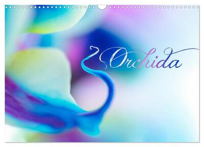 Image de L'Orchida (Calendrier mural 2025 DIN A3 vertical), CALVENDO calendrier mensuel