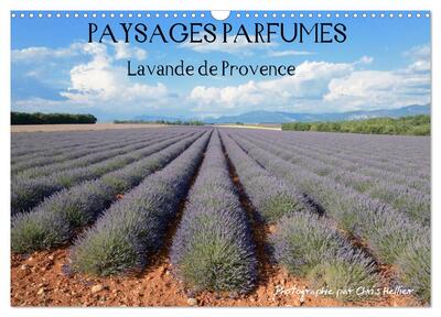 Picture of Paysages parfumés - Lavende de Provence (Calendrier mural 2025 DIN A3 vertical), CALVENDO calendrier mensuel