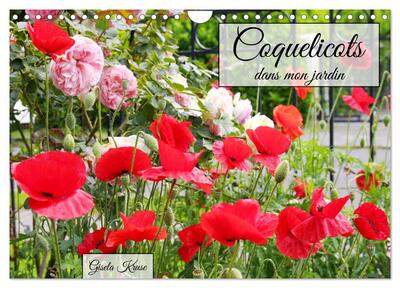 Image de Coquelicots dans mon jardin (Calendrier mural 2025 DIN A4 vertical), CALVENDO calendrier mensuel