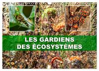 Image de Les gardiens des écosystèmes (Calendrier mural 2025 DIN A3 vertical), CALVENDO calendrier mensuel