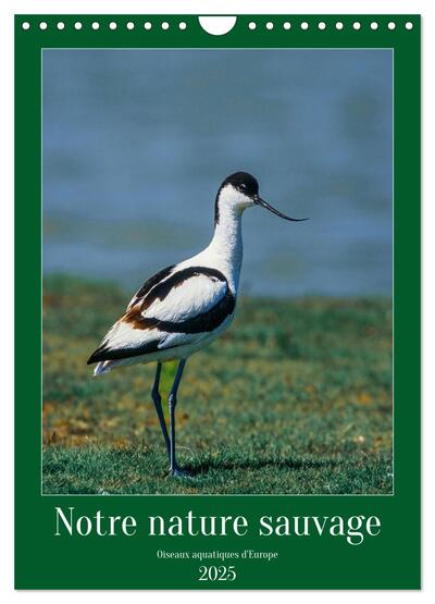 Image de Notre nature sauvage, oiseaux aquatiques d'Europe (Calendrier mural 2025 DIN A4 horizontal), CALVENDO calendrier mensuel