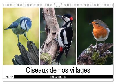 Image de Oiseaux de nos villages en Gâtinais (Calendrier mural 2025 DIN A4 vertical), CALVENDO calendrier mensuel