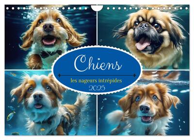 Image de Chiens : les nageurs intrépides (Calendrier mural 2025 DIN A4 vertical), CALVENDO calendrier mensuel