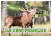 Image de Le Cerf Français (Calendrier mural 2025 DIN A4 vertical), CALVENDO calendrier mensuel