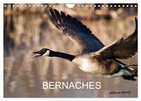 Picture of BERNACHES (Calendrier mural 2025 DIN A4 vertical), CALVENDO calendrier mensuel