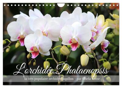 Image de L'orchidée Phalaenopsis (Calendrier mural 2025 DIN A4 vertical), CALVENDO calendrier mensuel